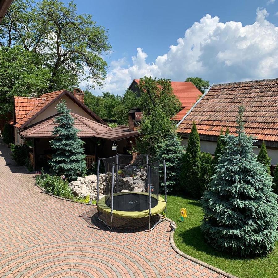 Pensiunea Haiduc Sacele Brasov 외부 사진