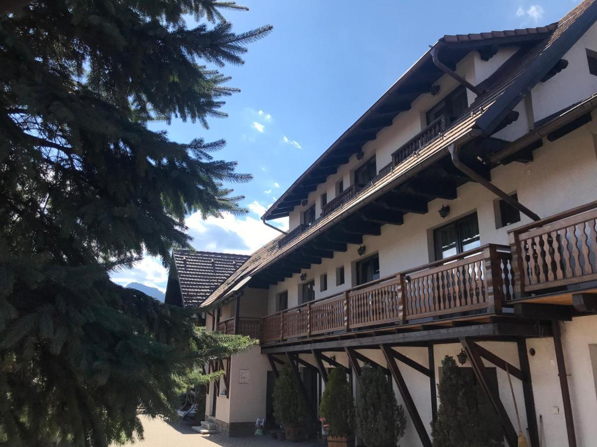 Pensiunea Haiduc Sacele Brasov 외부 사진