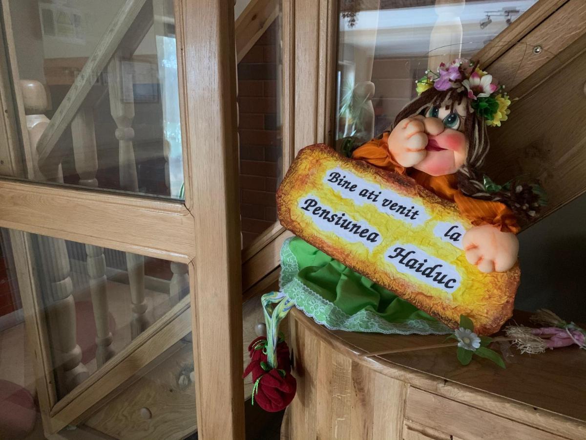 Pensiunea Haiduc Sacele Brasov 외부 사진