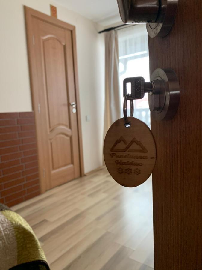 Pensiunea Haiduc Sacele Brasov 외부 사진